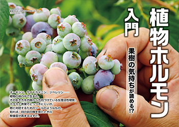 植物ホルモン入門　果樹の気持ちが読める!?