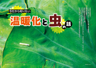病害虫に強い　土を育てる　最強輪作パターン