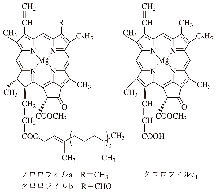 クロロフィル-ルーラル電子図書館―農業技術事典 NAROPEDIA