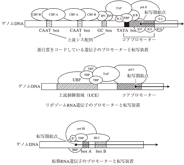 ルーラル電子図書館