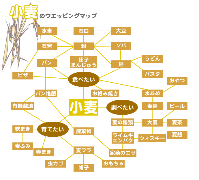 小麦のウエッビングマップ