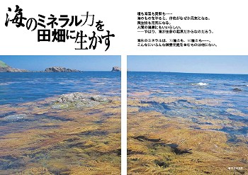 海のミネラル力を田畑に