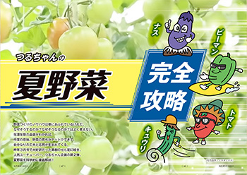 つるちゃんの夏野菜　完全攻略