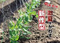 激夏をかわす新作型