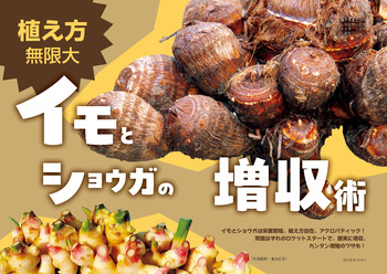 植え方無限大　イモとショウガの増収術