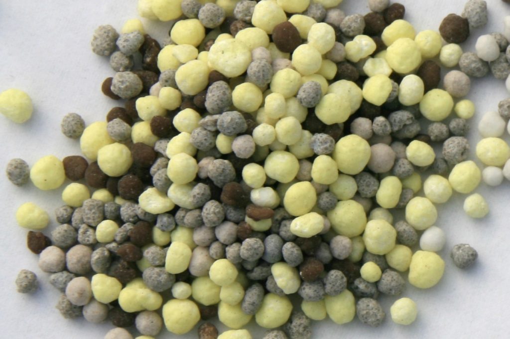 写真２　硫黄コーティング肥料（黄色）が配合された一発肥料